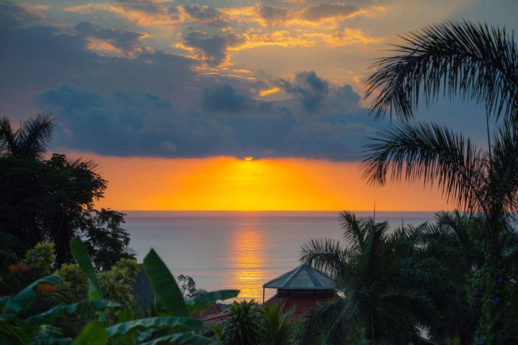Casa Chameleon Hotel Mal Pais - Adults Only Playa Santa Teresa  Ανέσεις φωτογραφία